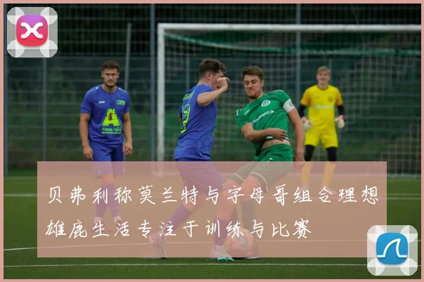 贝弗利称莫兰特与字母哥组合理想雄鹿生活专注于训练与比赛