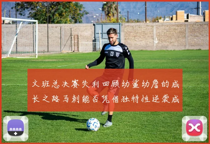 文班总决赛失利回顾幼鲨幼詹的成长之路马刺能否凭借独特性逆袭成功